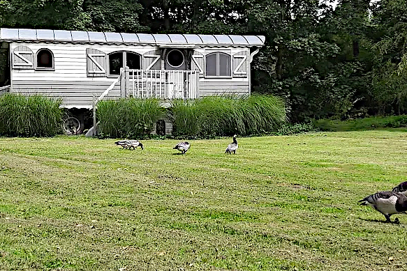 Roulotte Belgique Ath. 
