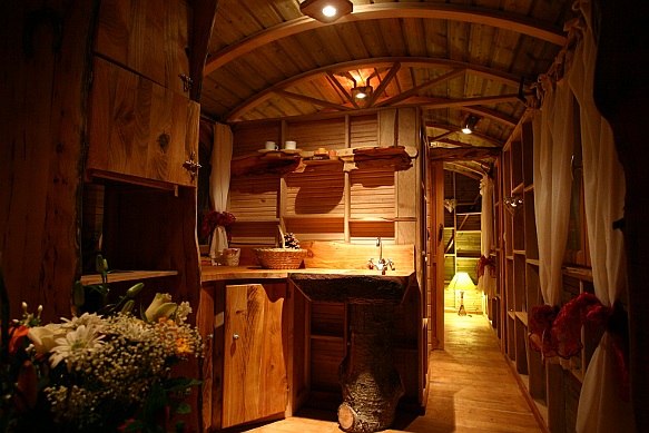 Roulotte près de la Soufrière. 