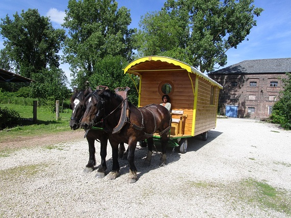 Photo Extérieur des roulottes hippomobile 3