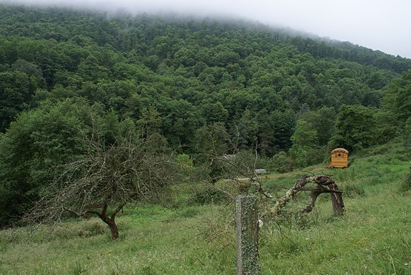 Roulotte à Ganac près de Foix.